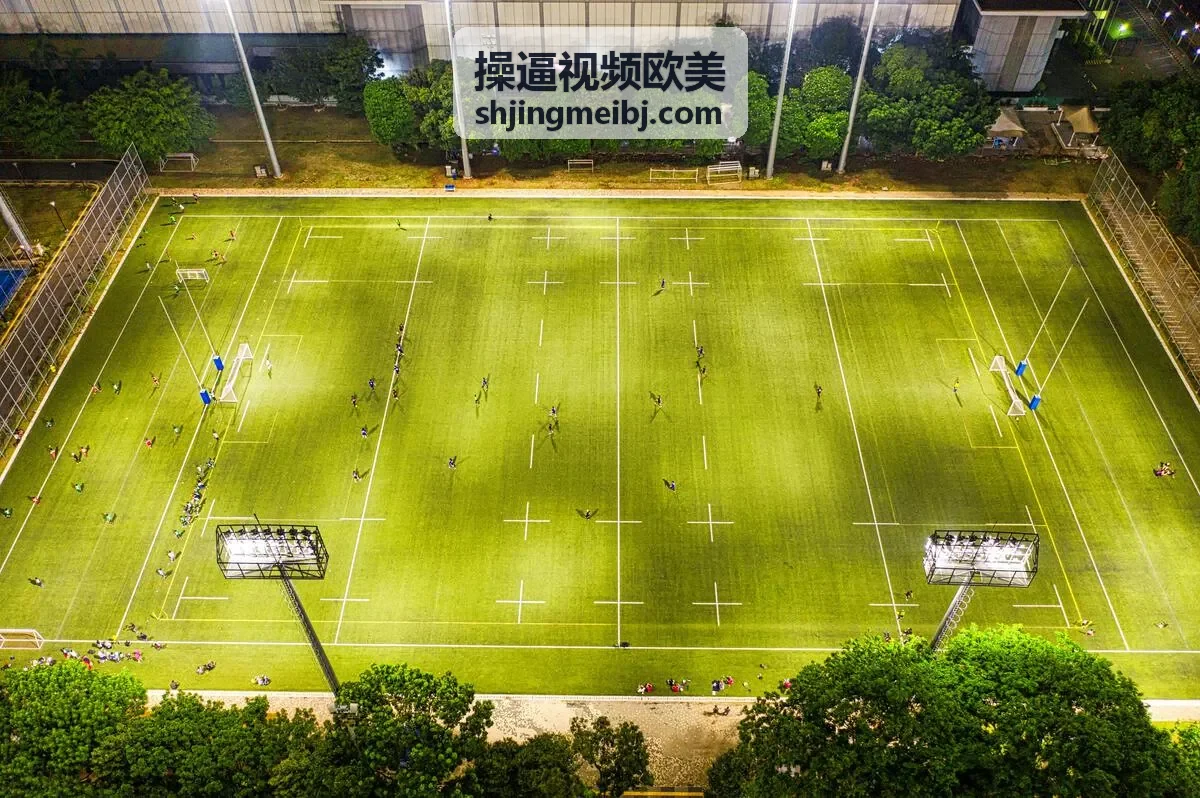 欧美激情成人内容